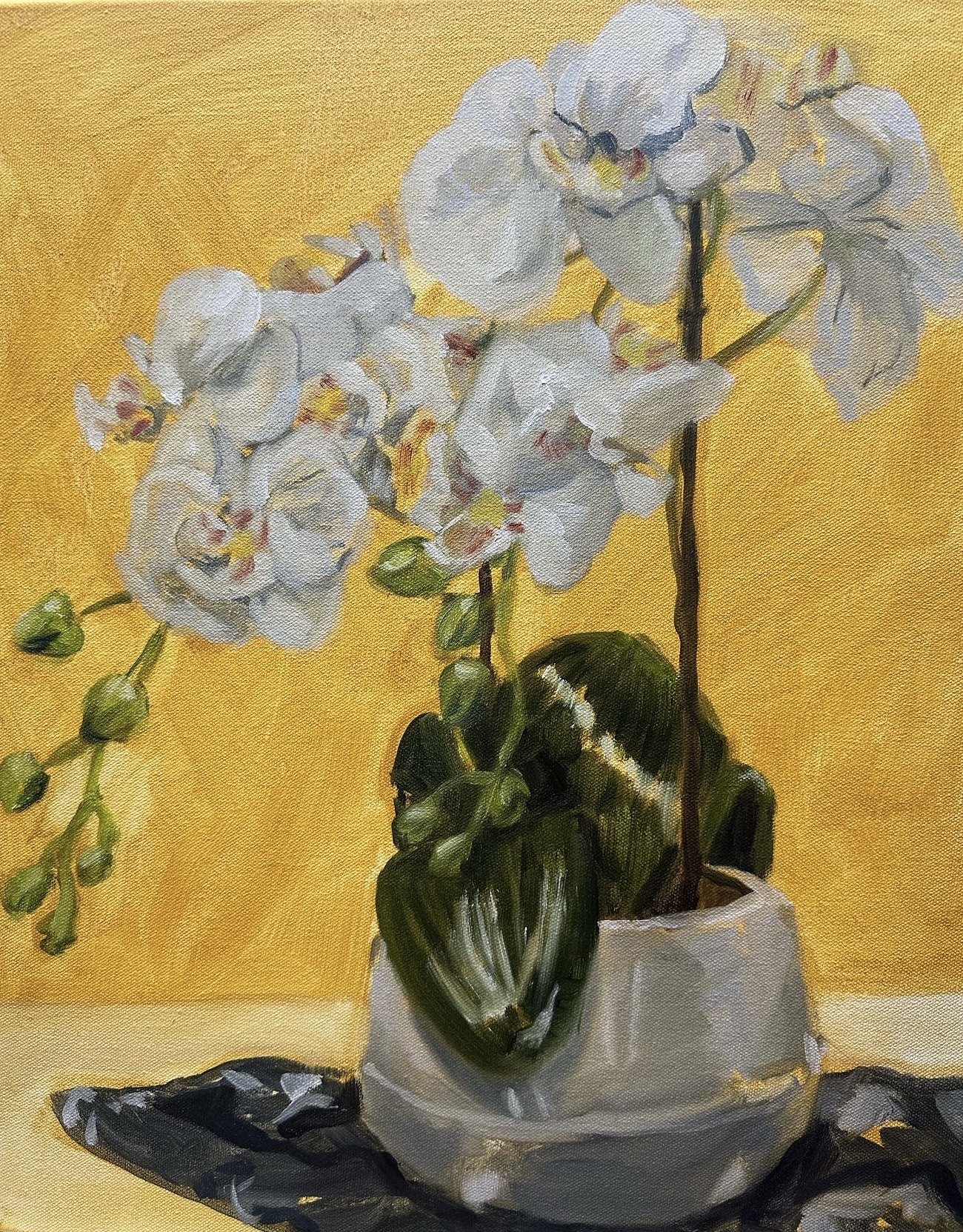 Orchids in Yellow