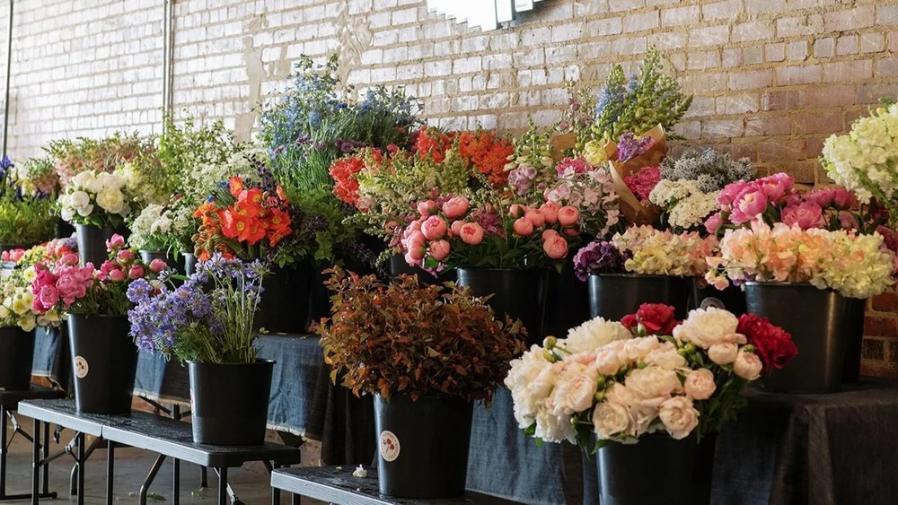 Buy Flowers — Piedmont Wholesale Flowers Durham, NC