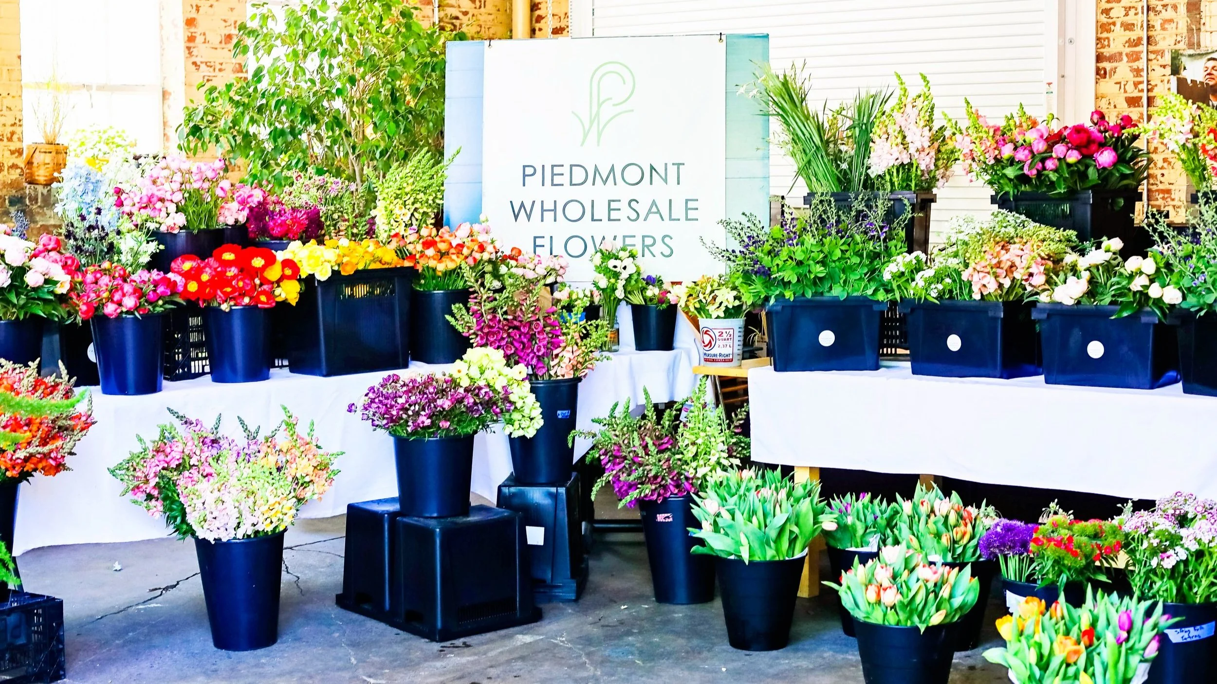 Piedmont Wholesale Flowers Durham, NC
