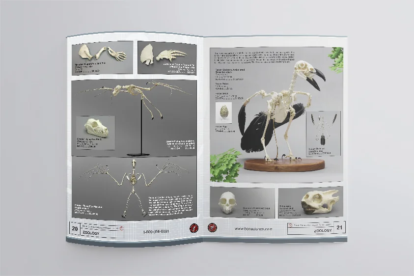 inside spread2.jpg