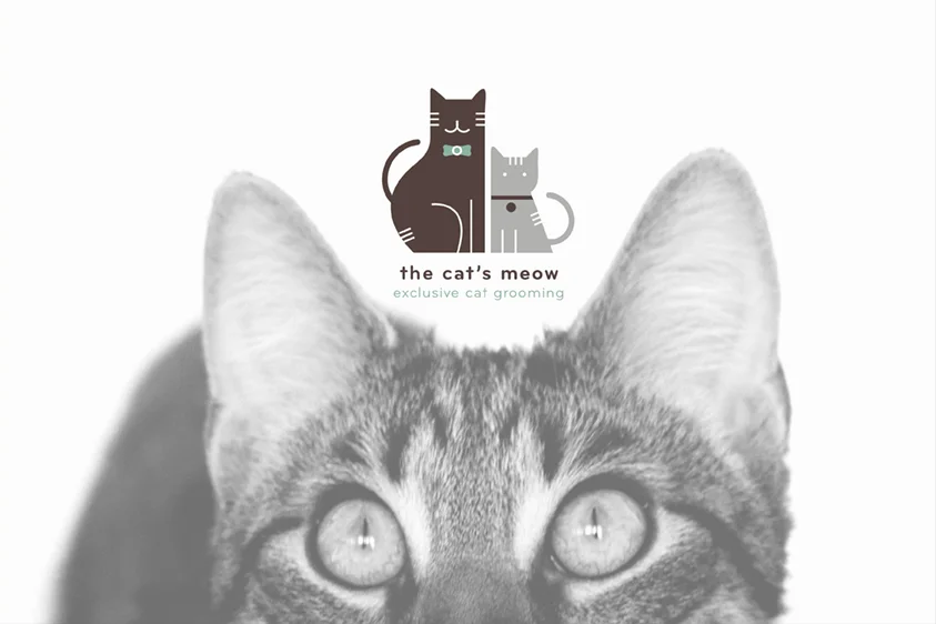 The Cat's Meow_843x562.jpg
