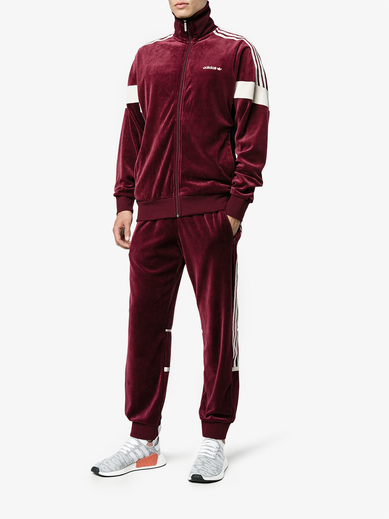 Бордовый спортивный костюм. Adidas Velour Tracksuit. Спортивный костюм адидас бордовый мужской. Вельветовый костюм адидас мужской. Вельветовый костюм adidas.