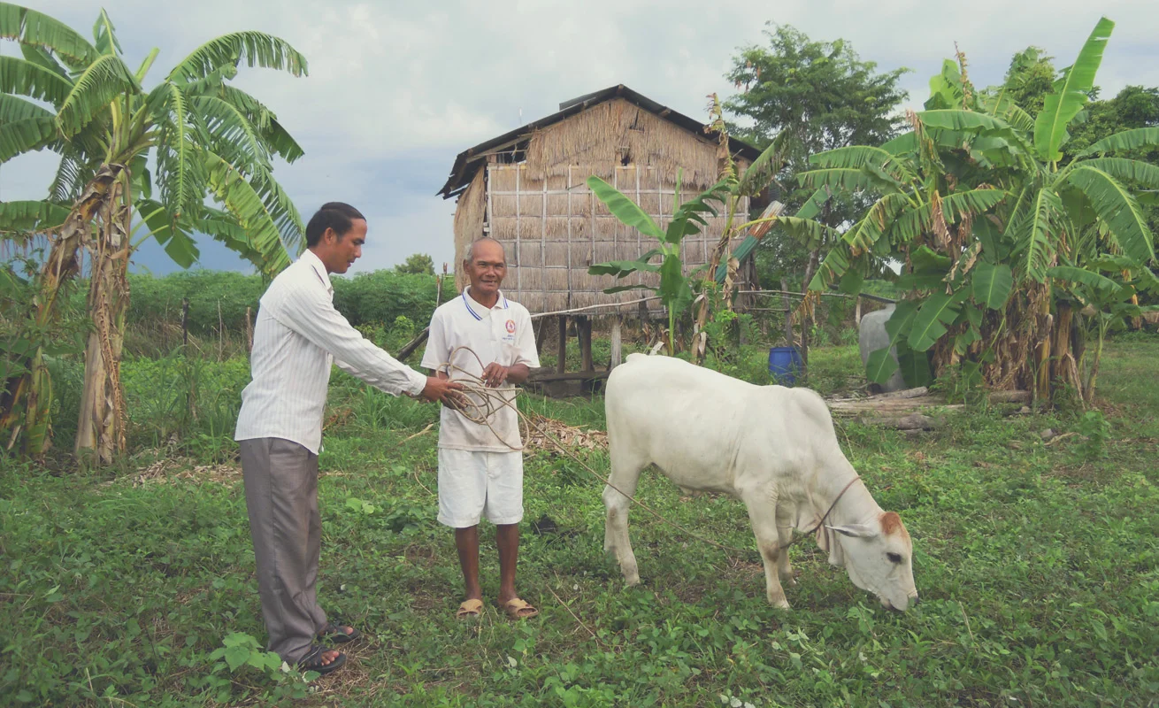 Animal bank project