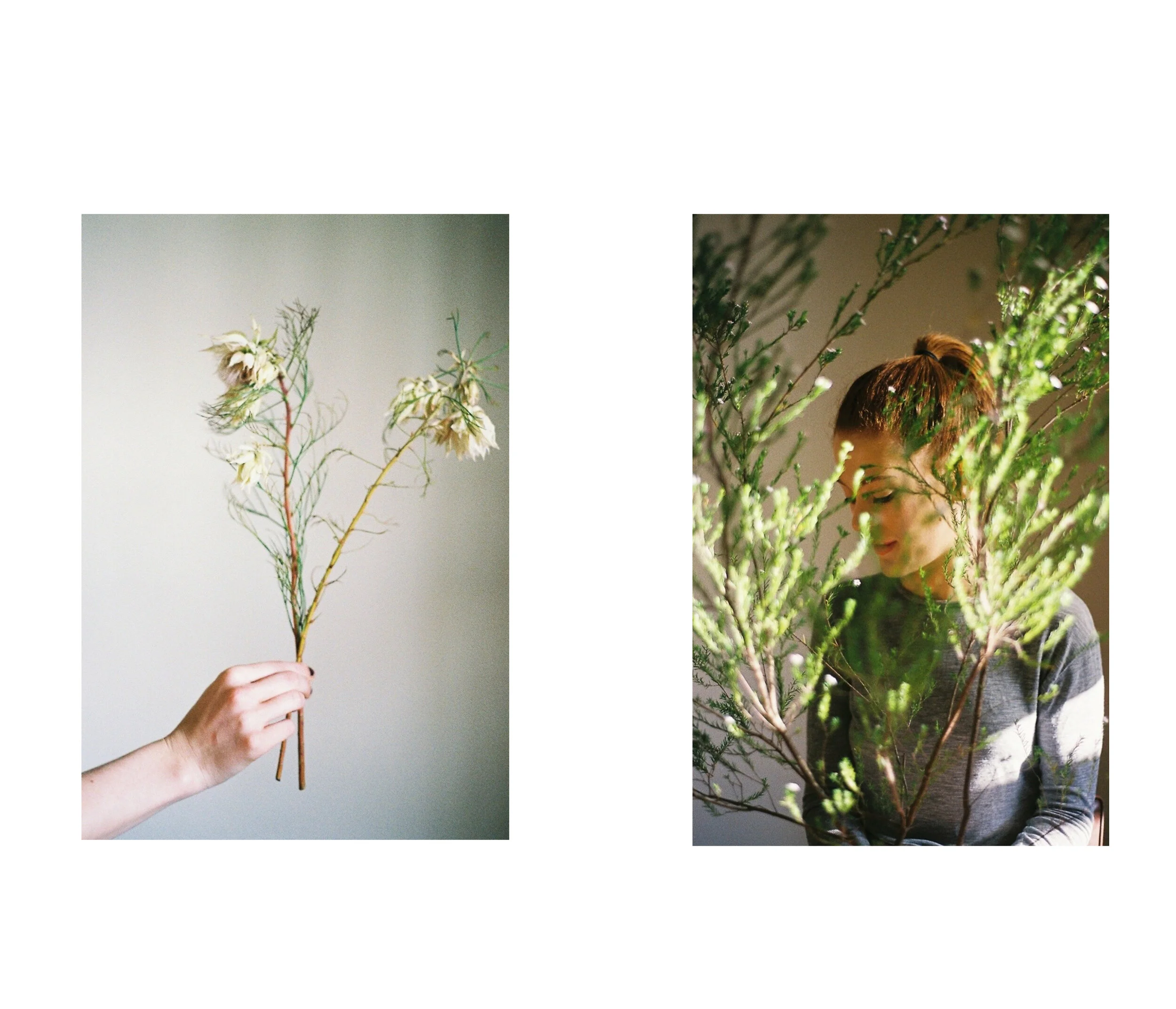 emma fauna Page 1.jpg