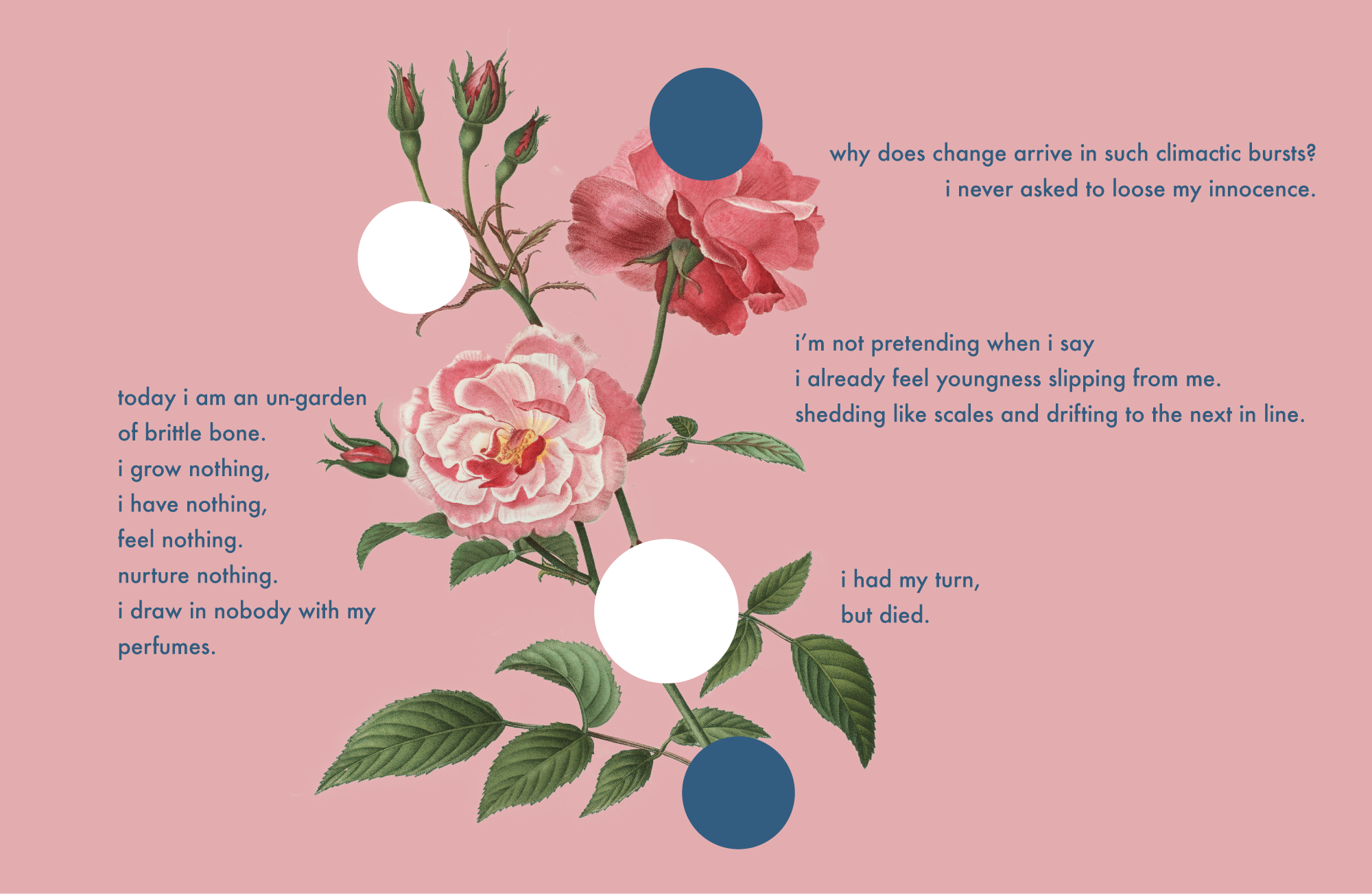 Rose-5.png