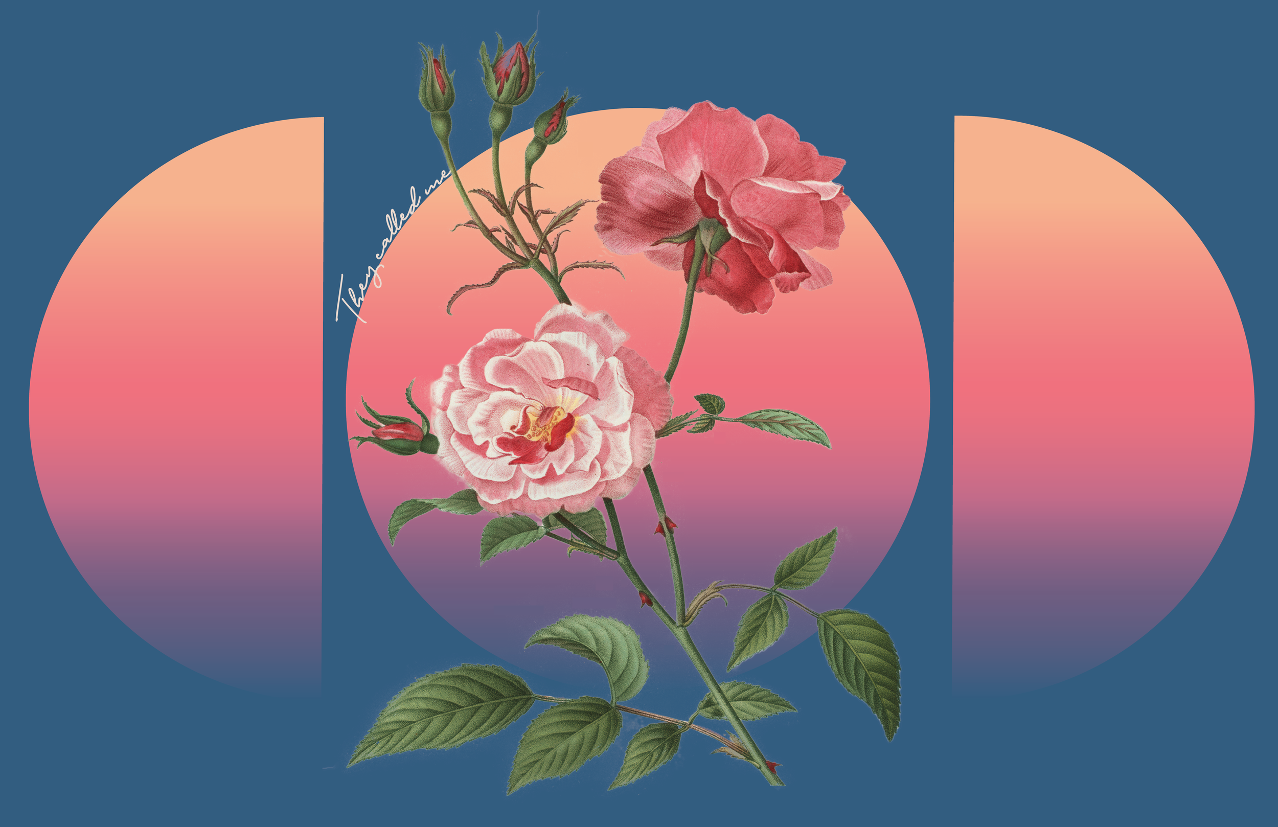 Rose-back.png