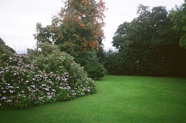 Rathmullan house, Sept 2018. A year later, but this place still gives me so much life. .
.
.
. 
#35mm #rathmullanhouse #floral #donnegal