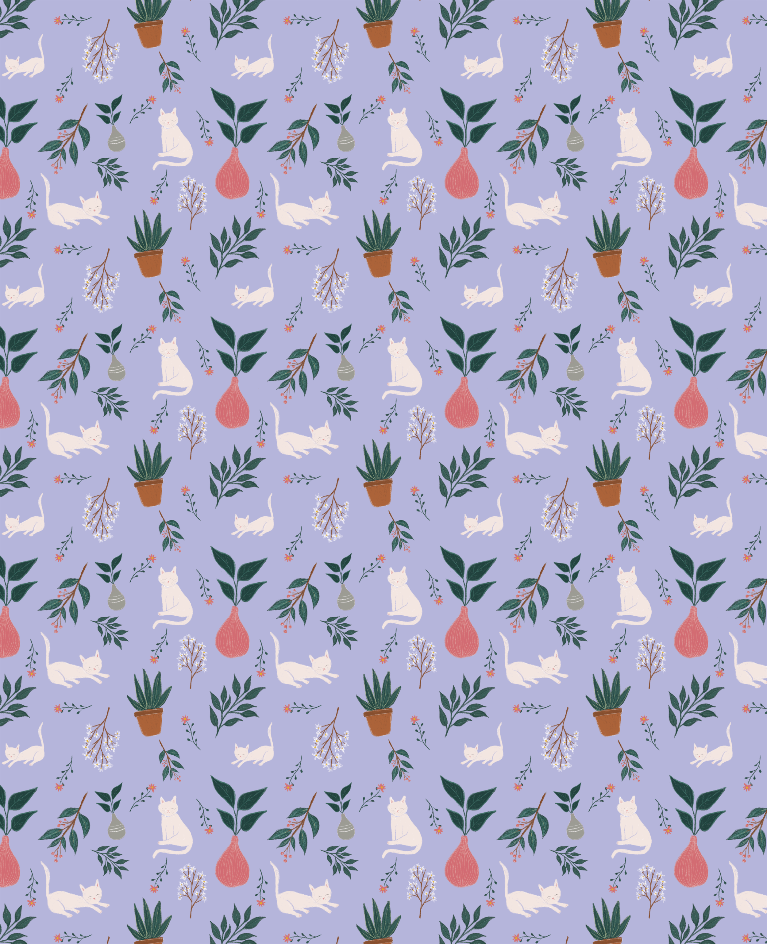 Purple-cat-plants.png