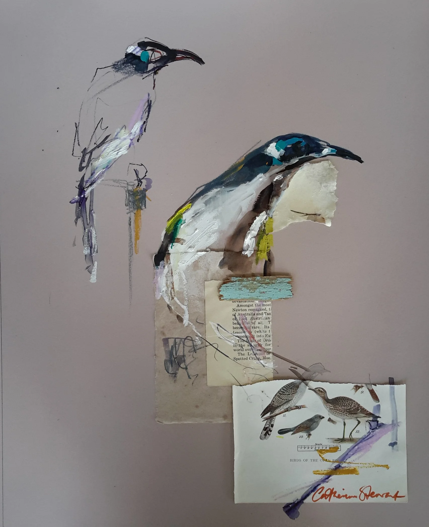 Blue Faced Honeyeaters on Paper.jpg