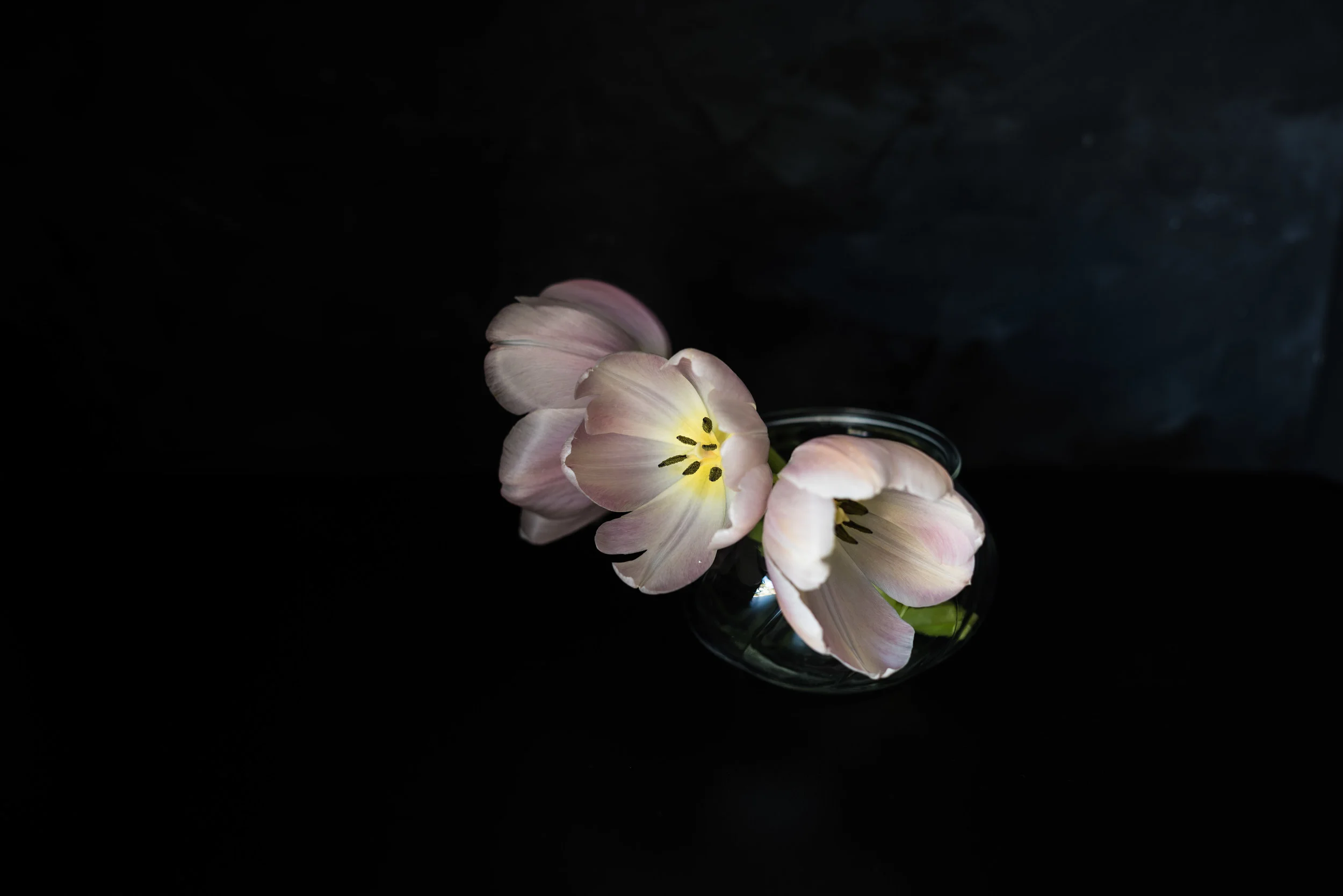 Bhortake__DSC2802_web.jpg