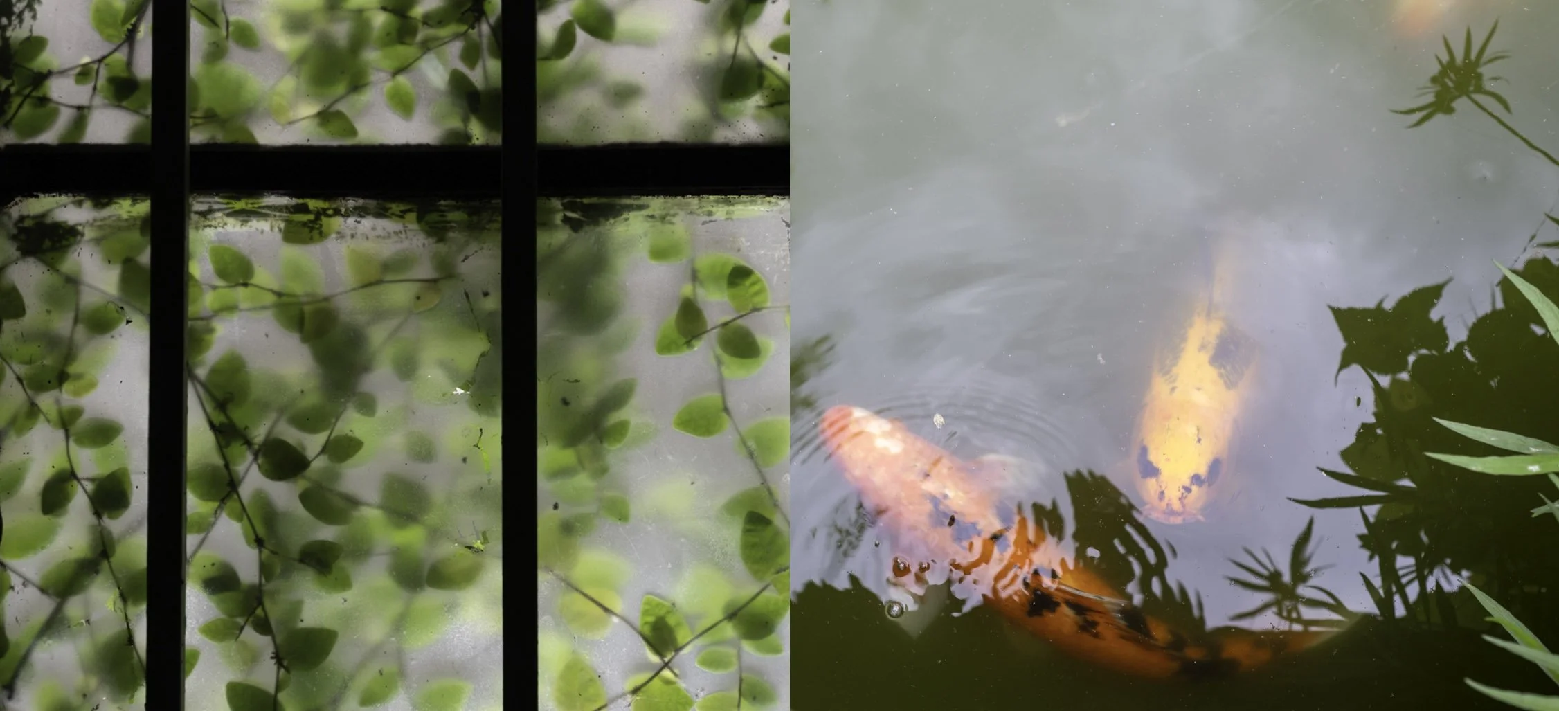 Small Moments for Slow Time ,Tools for an Intuitive Creative Life