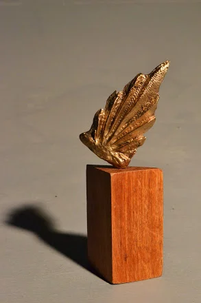 image-9.jpg