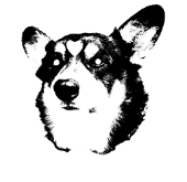 BOO.170.png