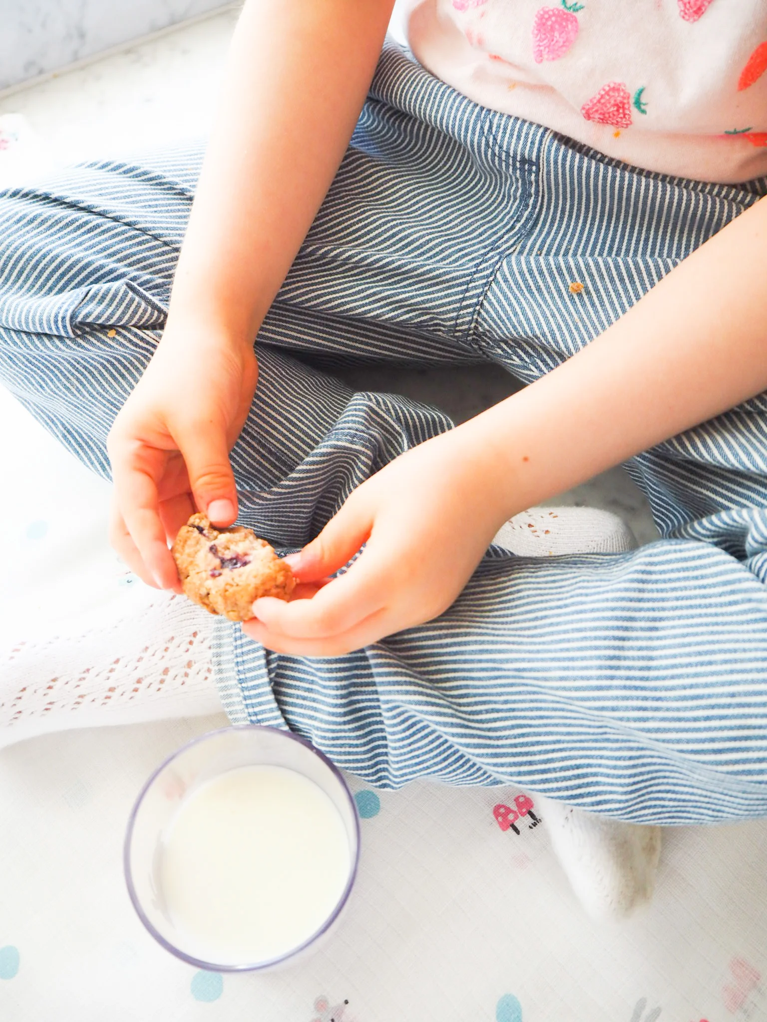 oatcookiesandjemima_overexposed.jpg