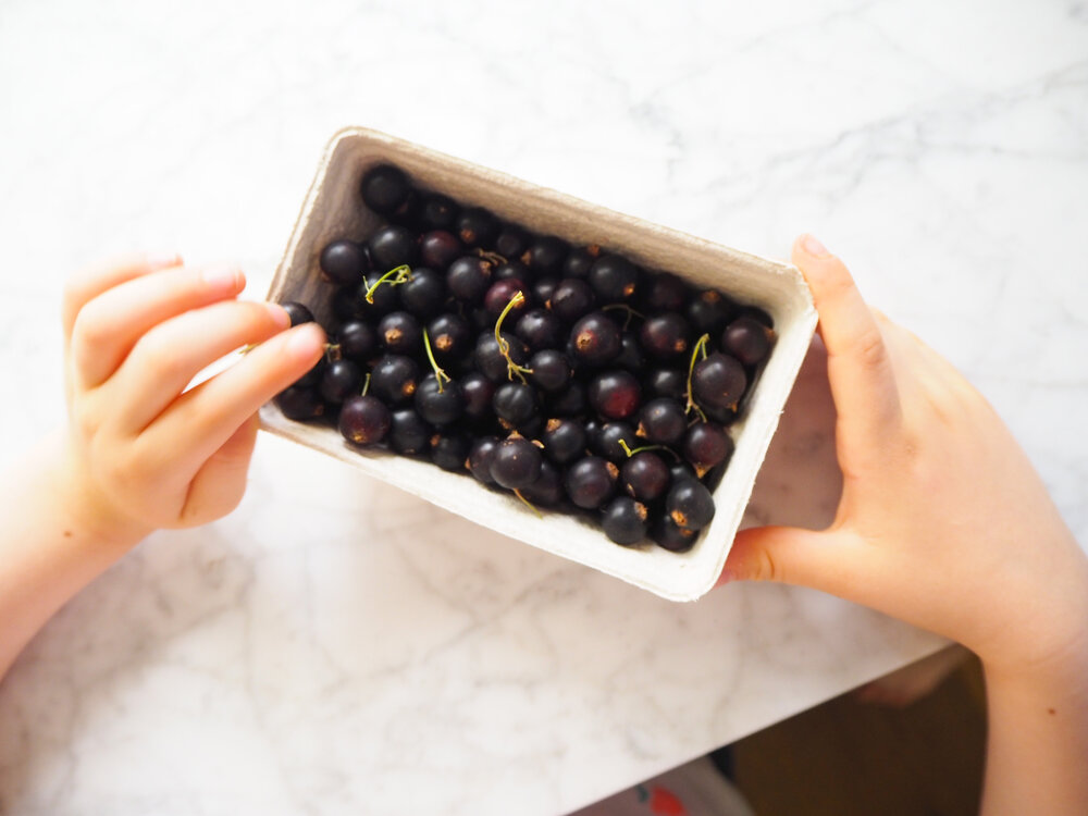 blackcurrants_5.jpg