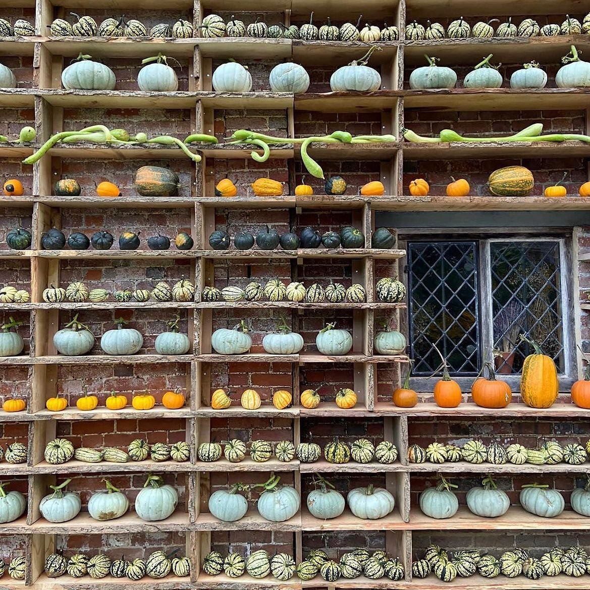 Pumpkins and Squash 🧡
Tis the season and this stunning display needed to be shared. At this time of year there is so much produce to choose from and here is a list to inspire your cooking. November starts today, darker evenings are here and there is