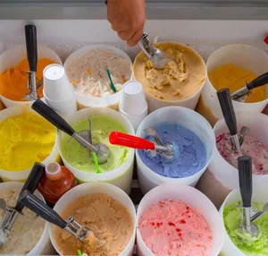 Emery Thompson batch freezer