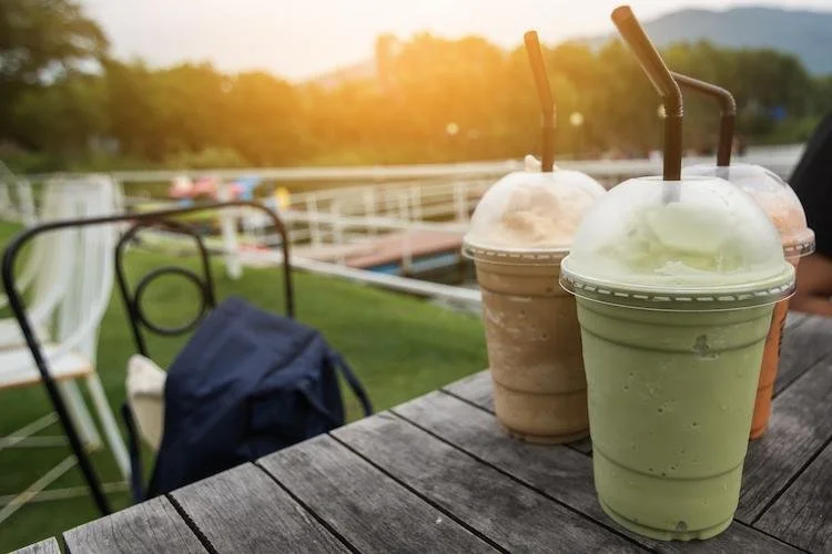 Slush machine for campgrounds and recreation — Taylor frozen beverage Upstate New York