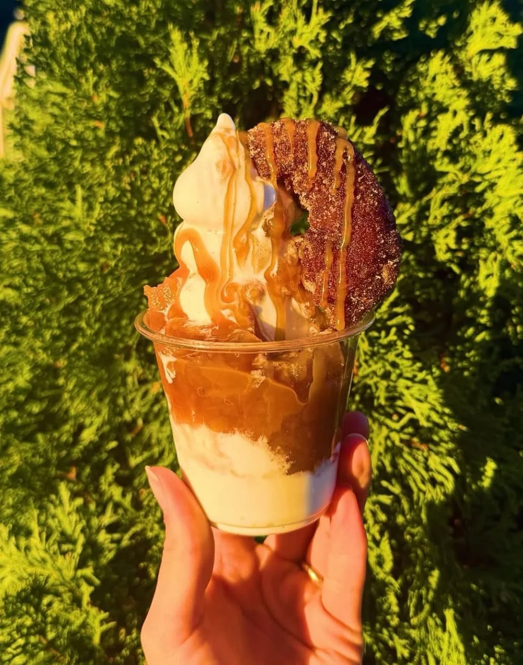 The Rolling Cones — Apple Cider