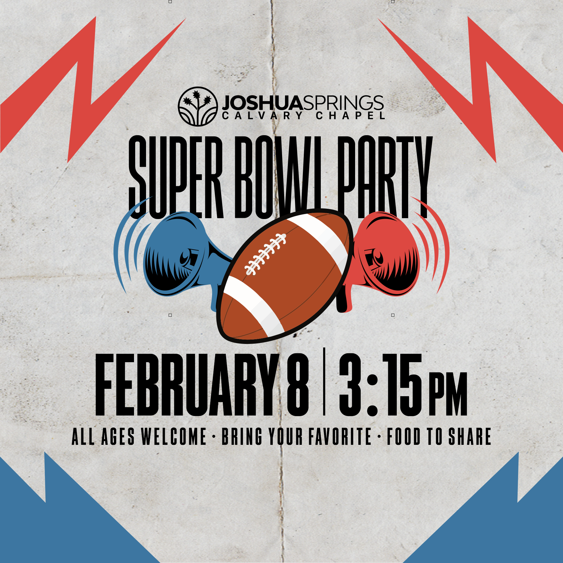 Super Bowl Party
