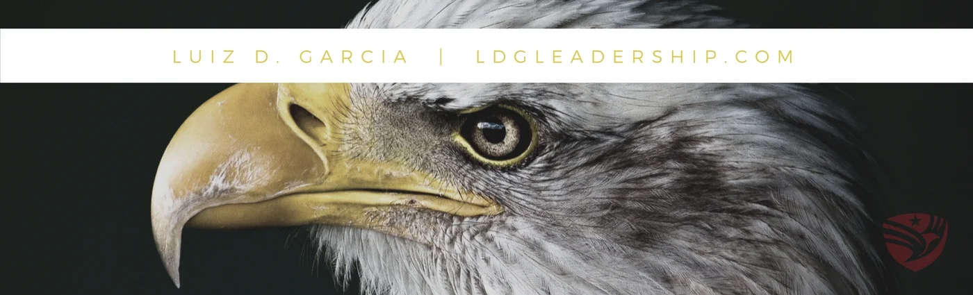 Yellow Hawk Bird Nature Photographer General Linkedin Banner - Copy.jpg
