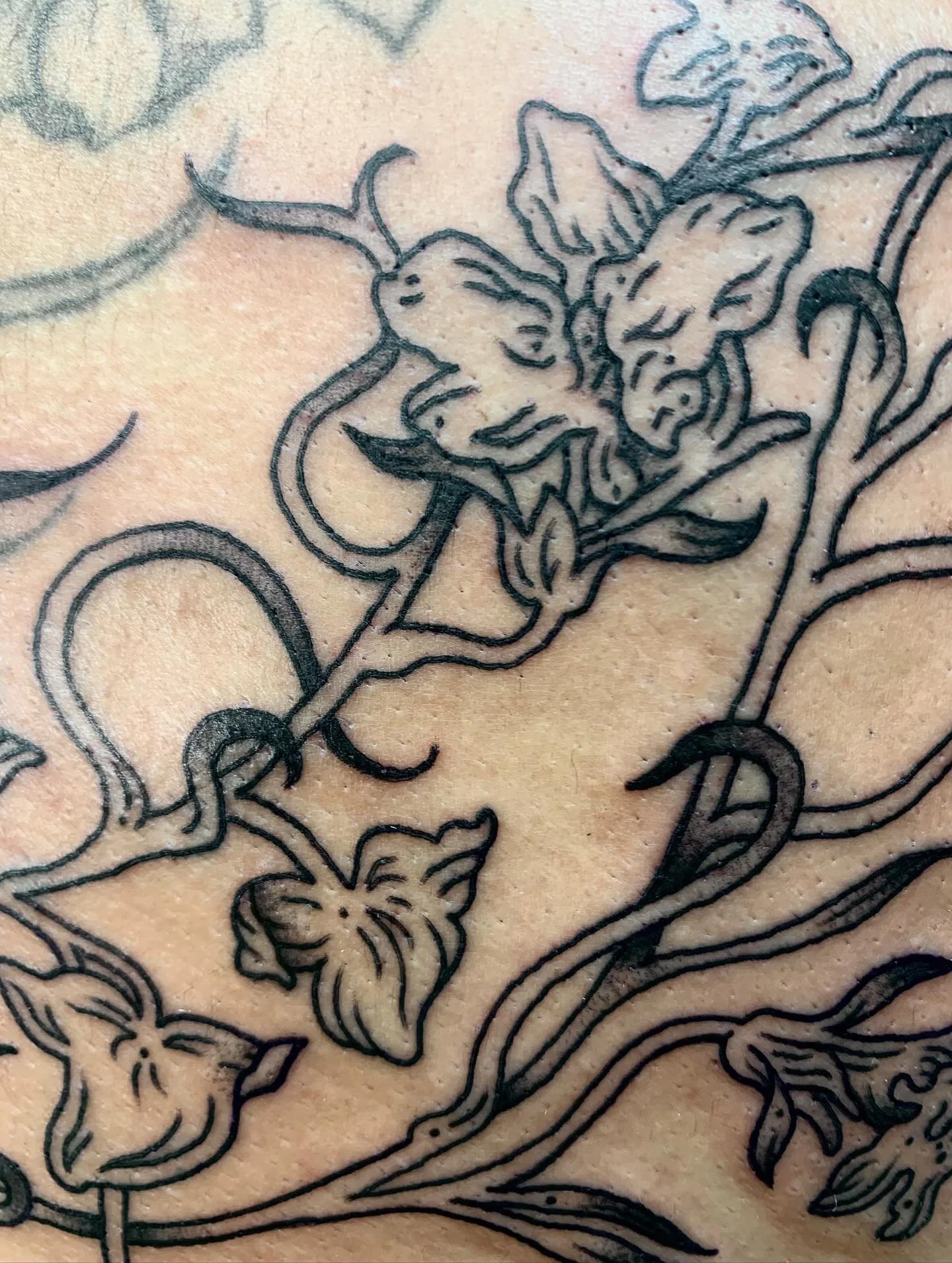 snapdragon fairy wings add-on for my dear friend liana, done over two days at @americantattoostudios 🧚‍♂️ one of my favorite pieces i worked on this summer
#fairywingstattoo #clevelandtattooartist #engravingtattoo #woodcuttattoo #apprenticetatt