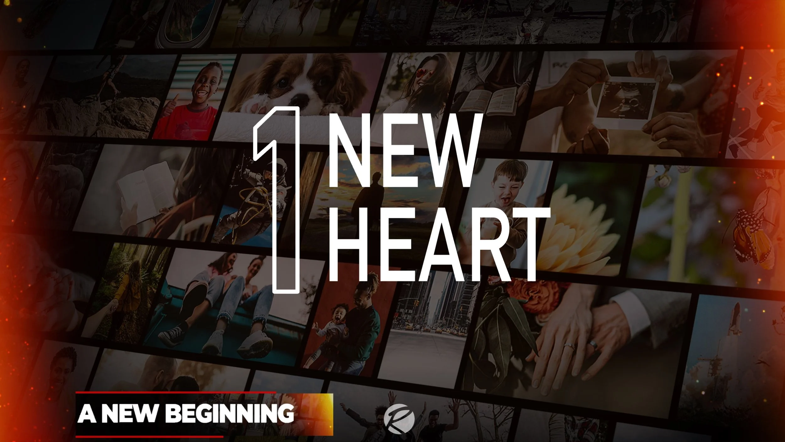 1-NewHeart.jpeg