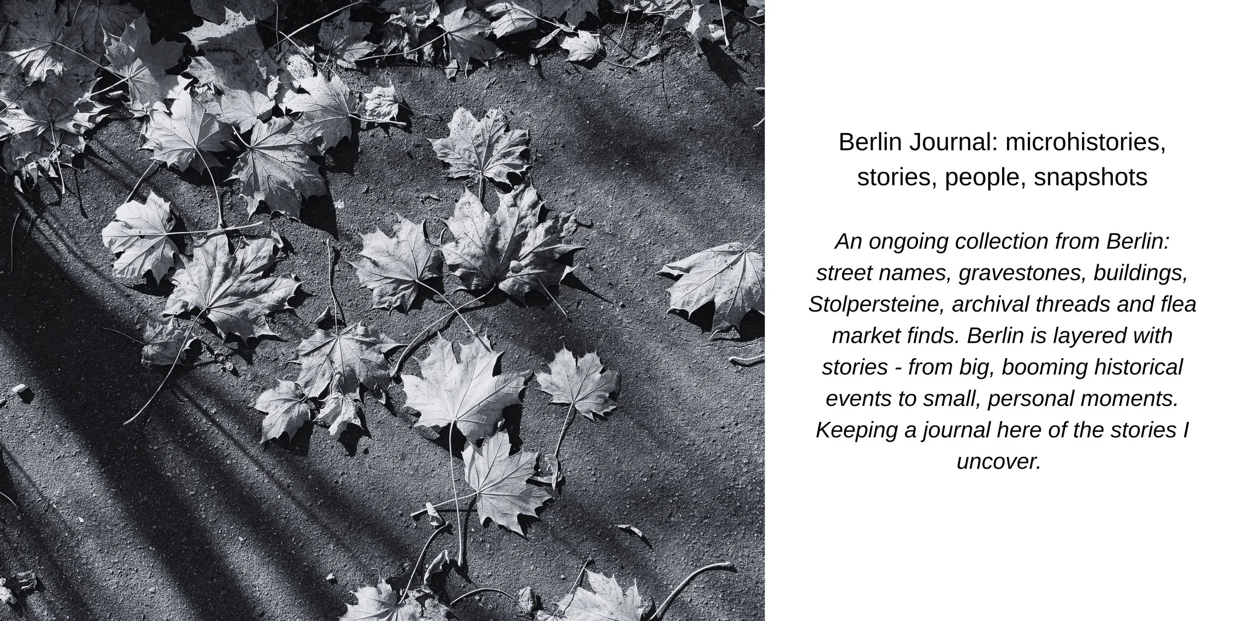 Berlin Journal.jpg