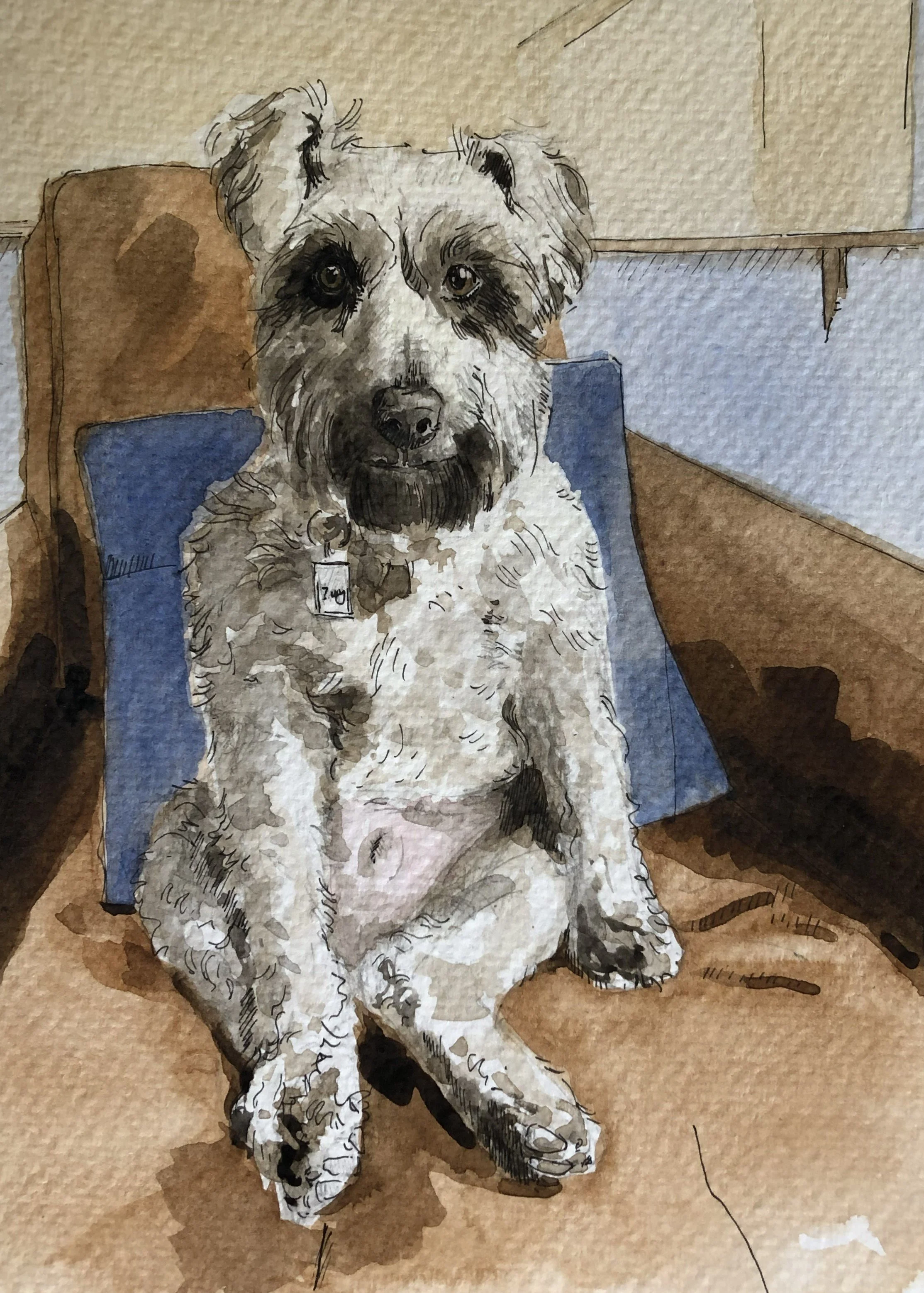 Chair Pup.jpg