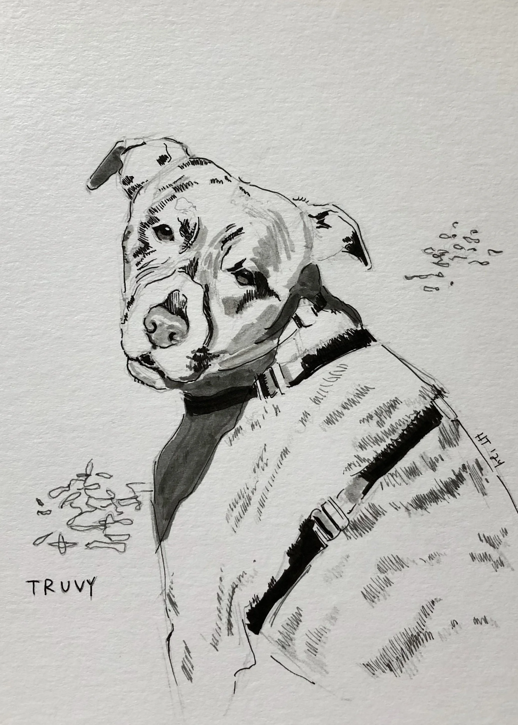 Truvy.jpg
