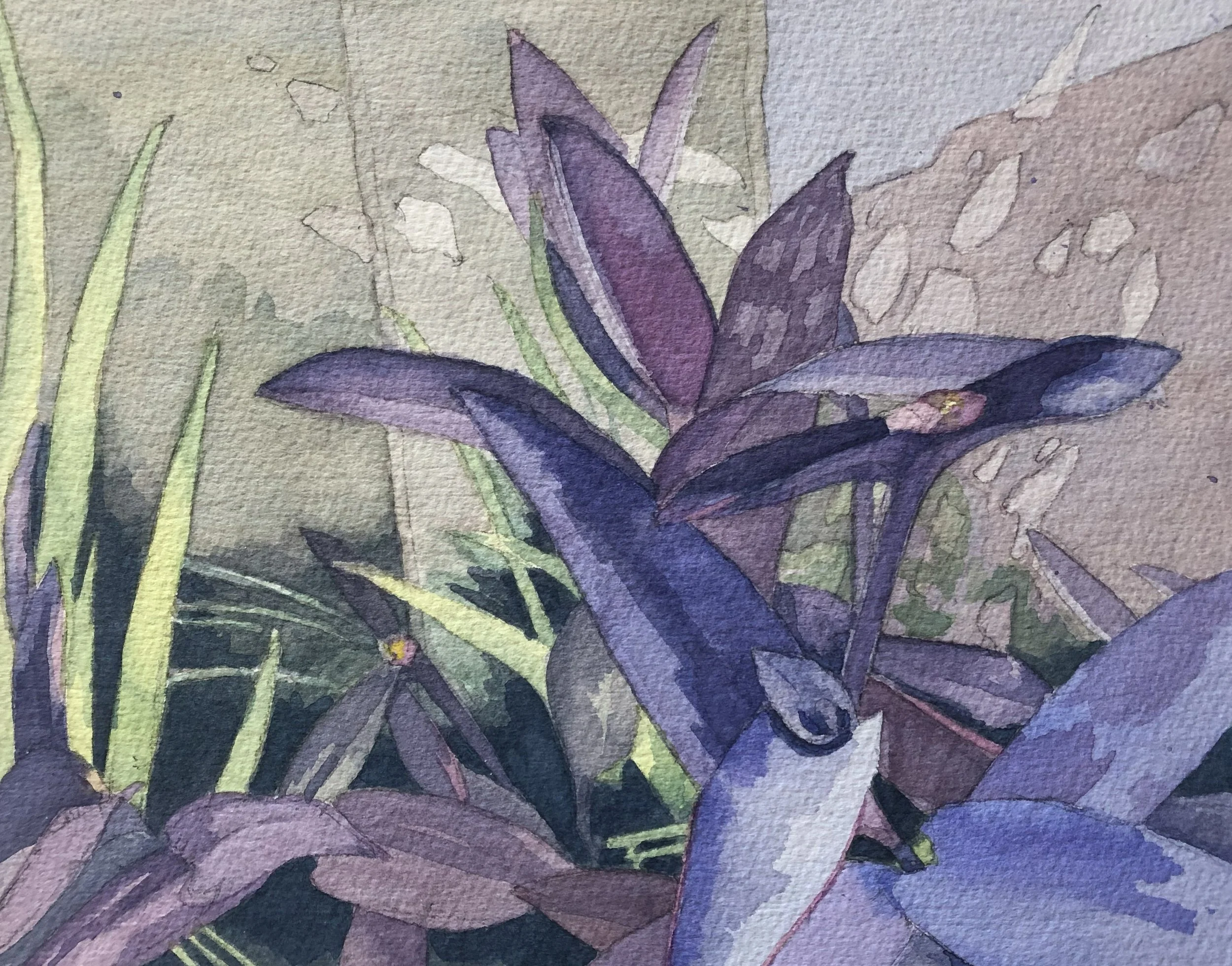Purple Heart Watercolor.jpg
