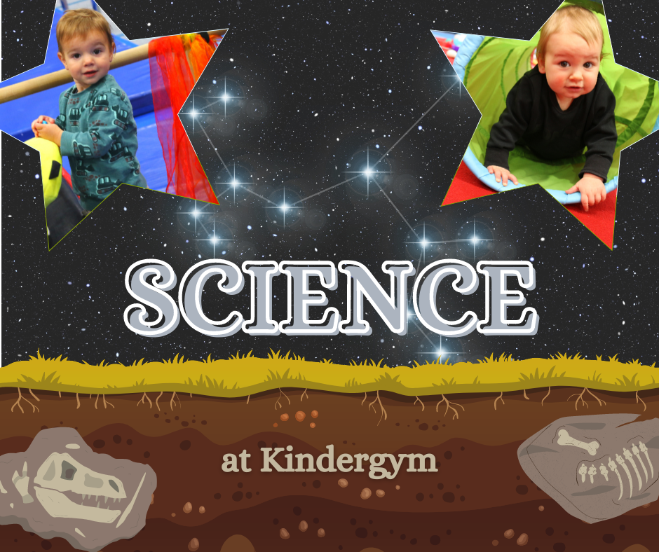 Kindergym Blog - Website tiles.png