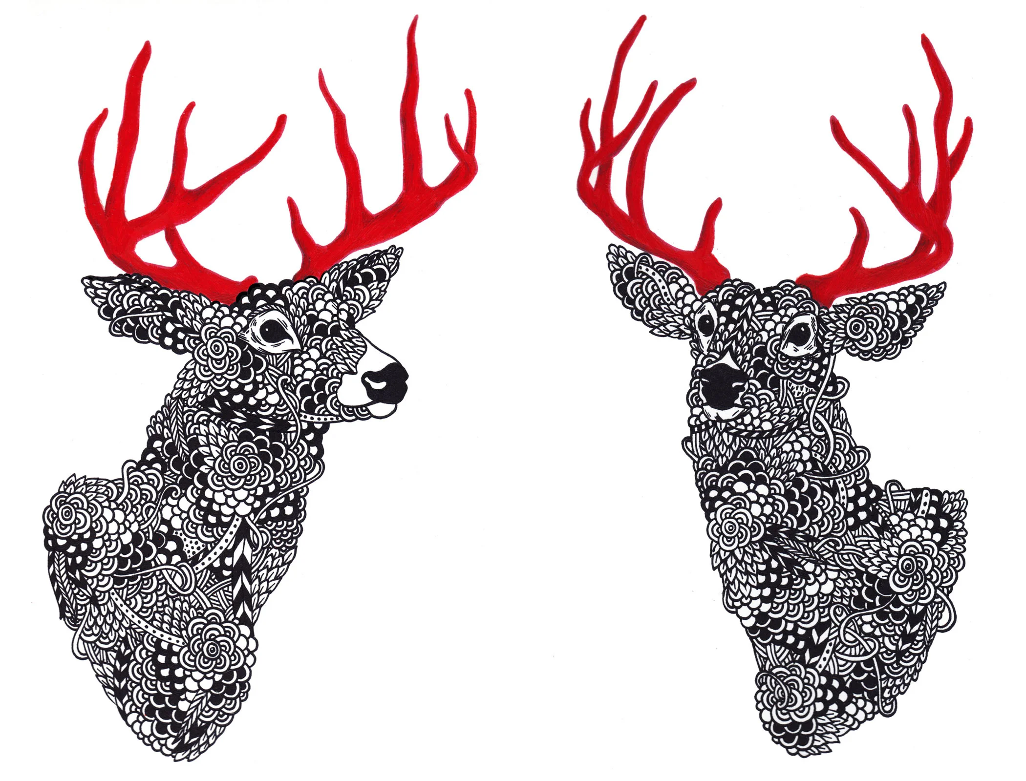 Buck 1 & Buck 2