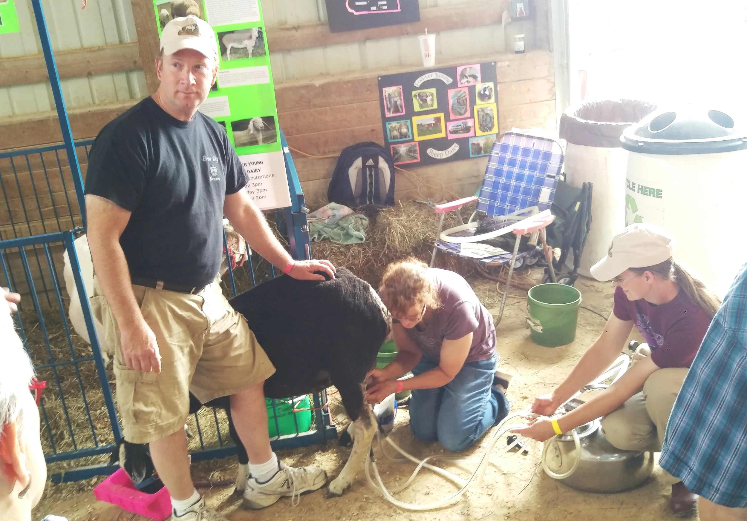 SDAW members putting on a milking presentation. Love the hat, Bill!