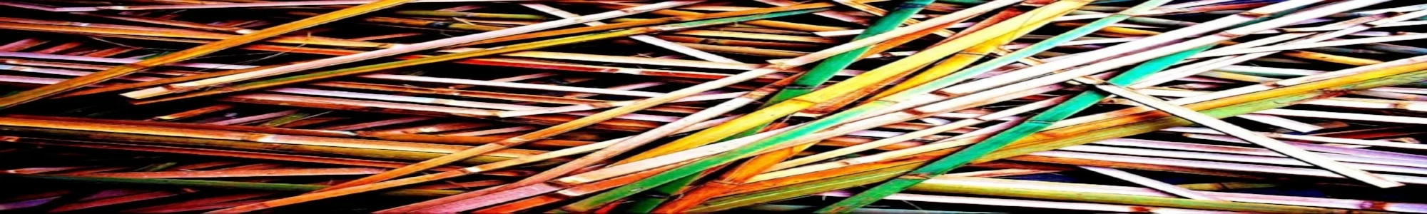bamboo small.JPG