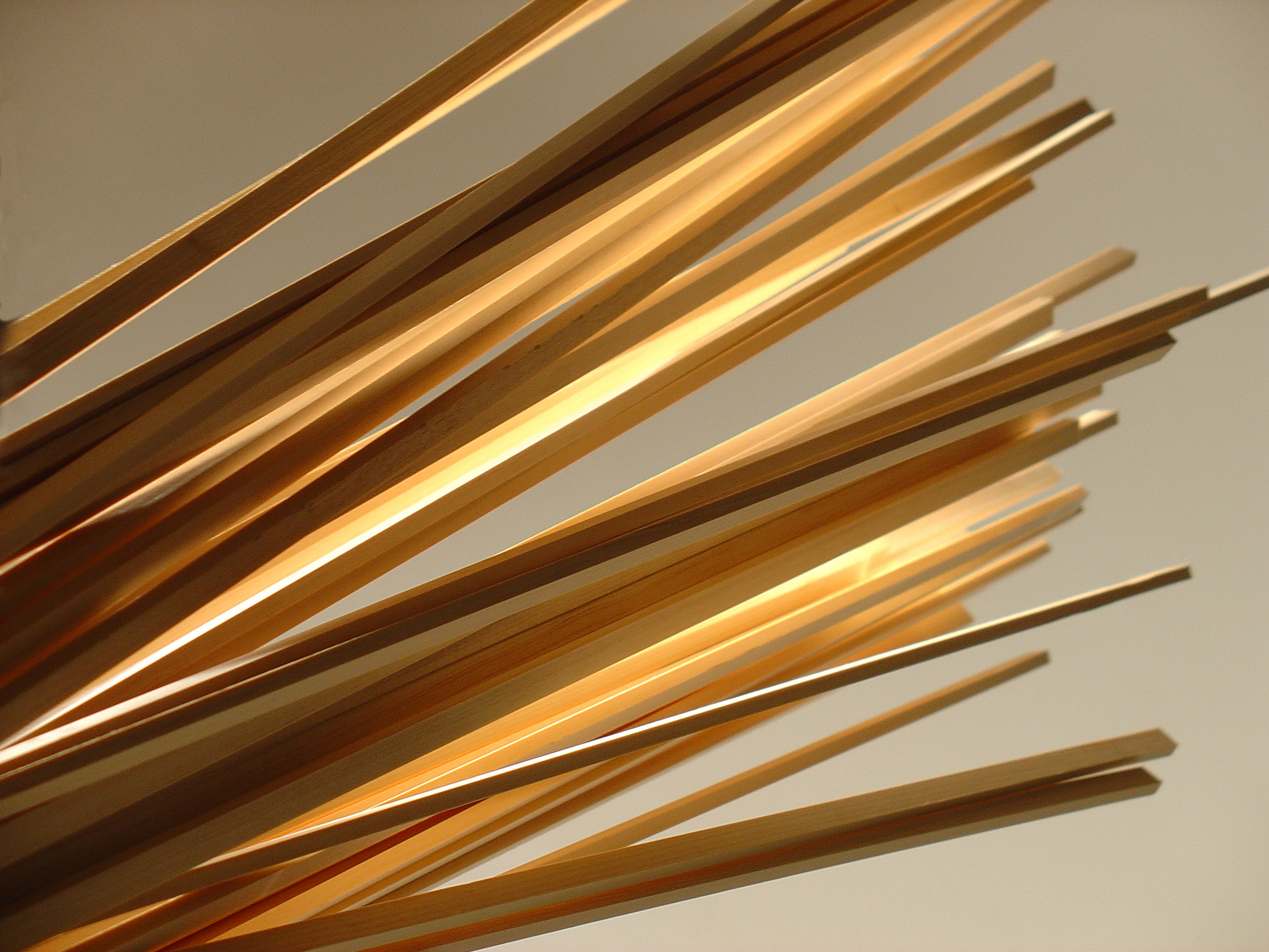 light5.jpg
