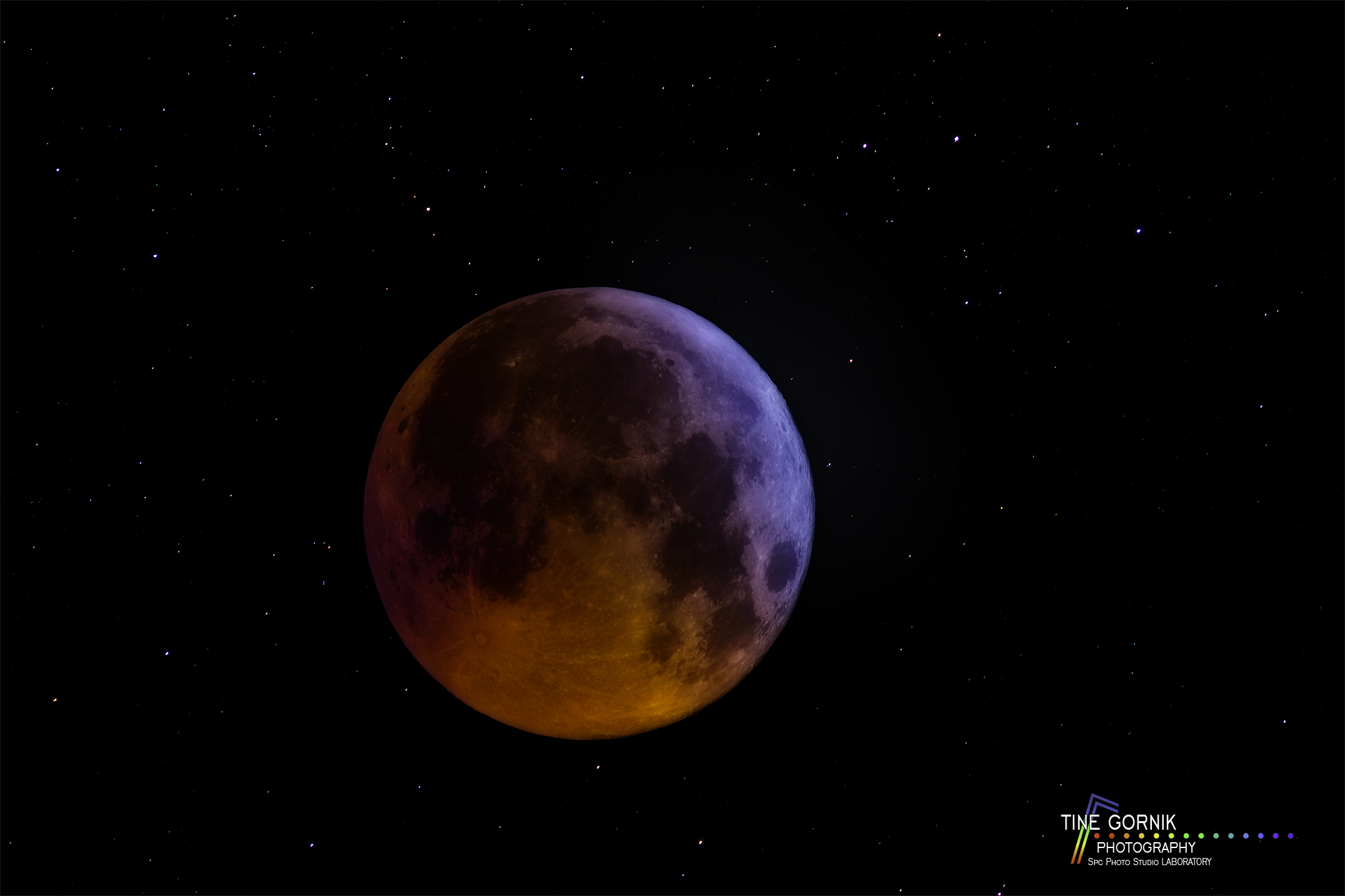 Luna Tine.png