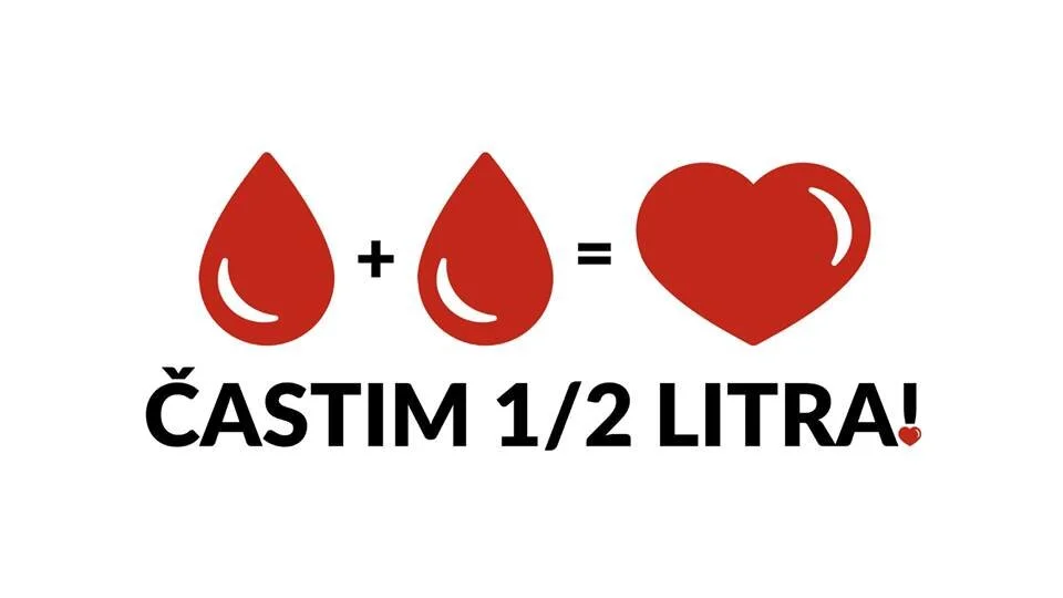 castim.jpg
