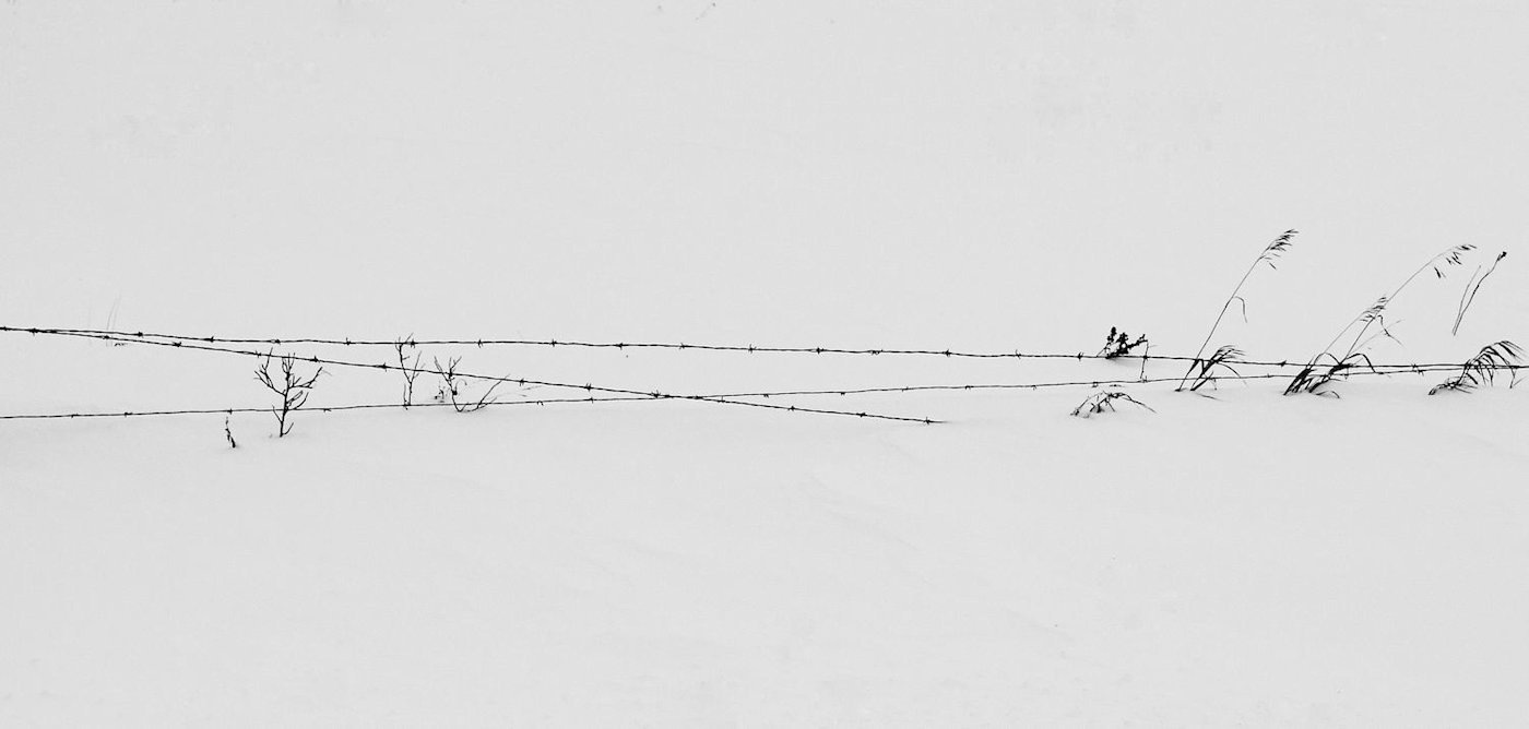 Barb Wire in Winter.jpg