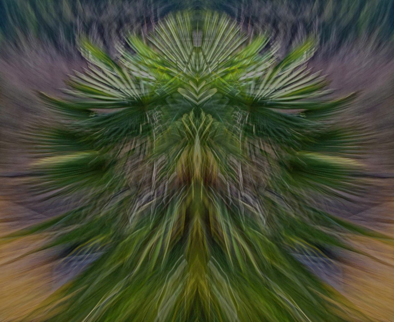 Nanaimo palm.jpg