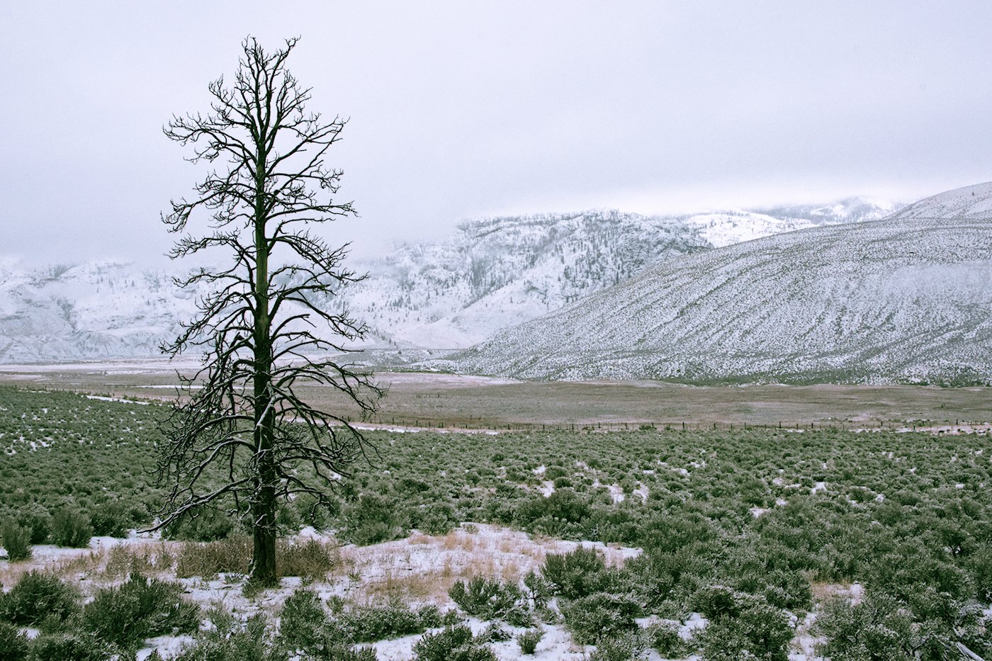 East of Cache Creek