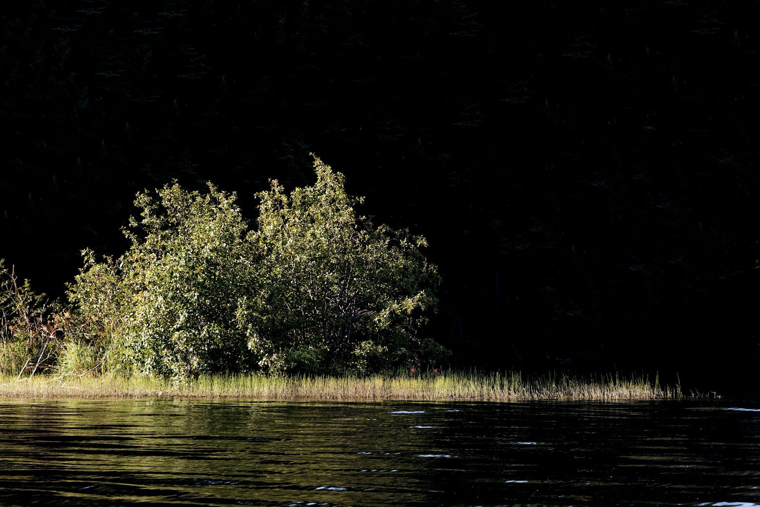 Purden Lake Morning too