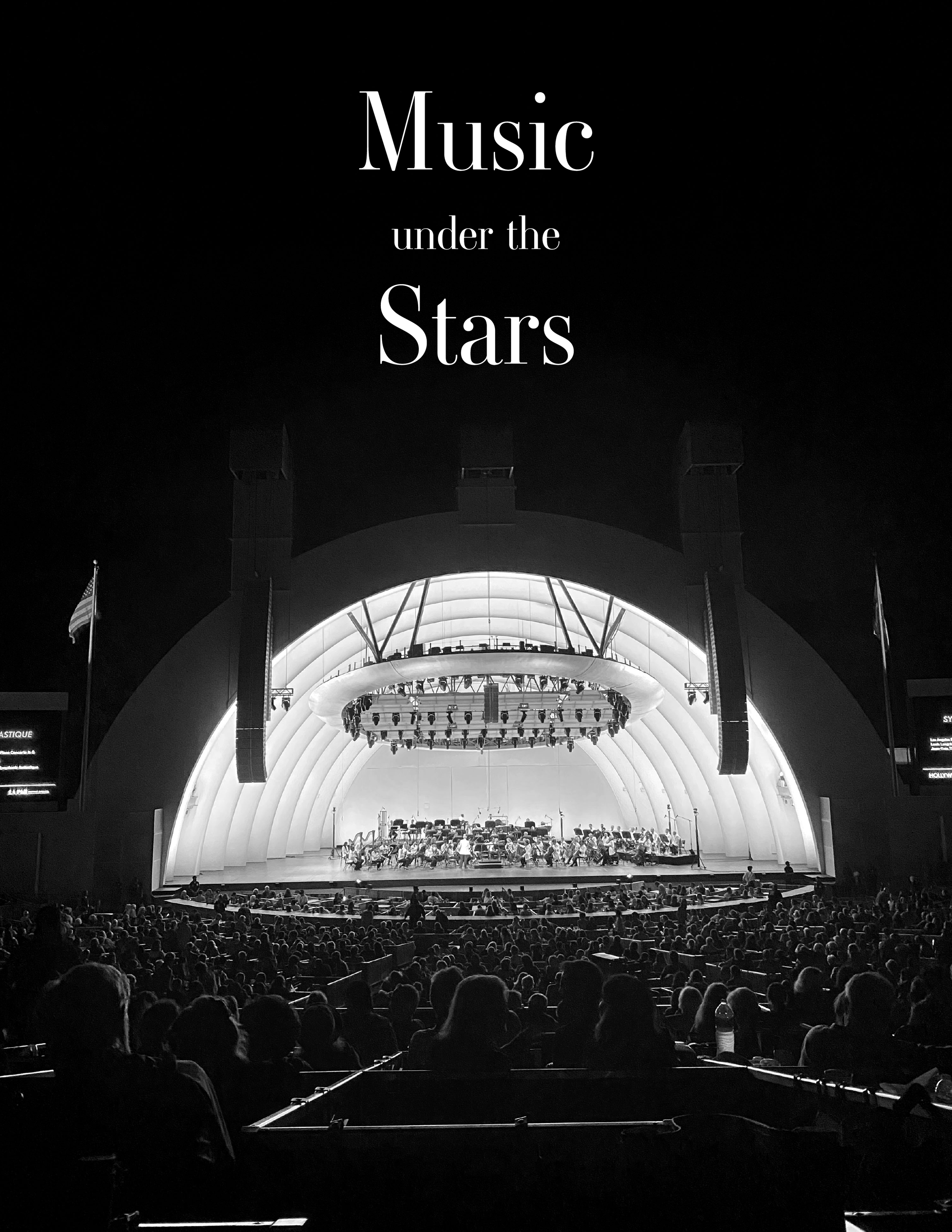 Music Under the Stars-01.png