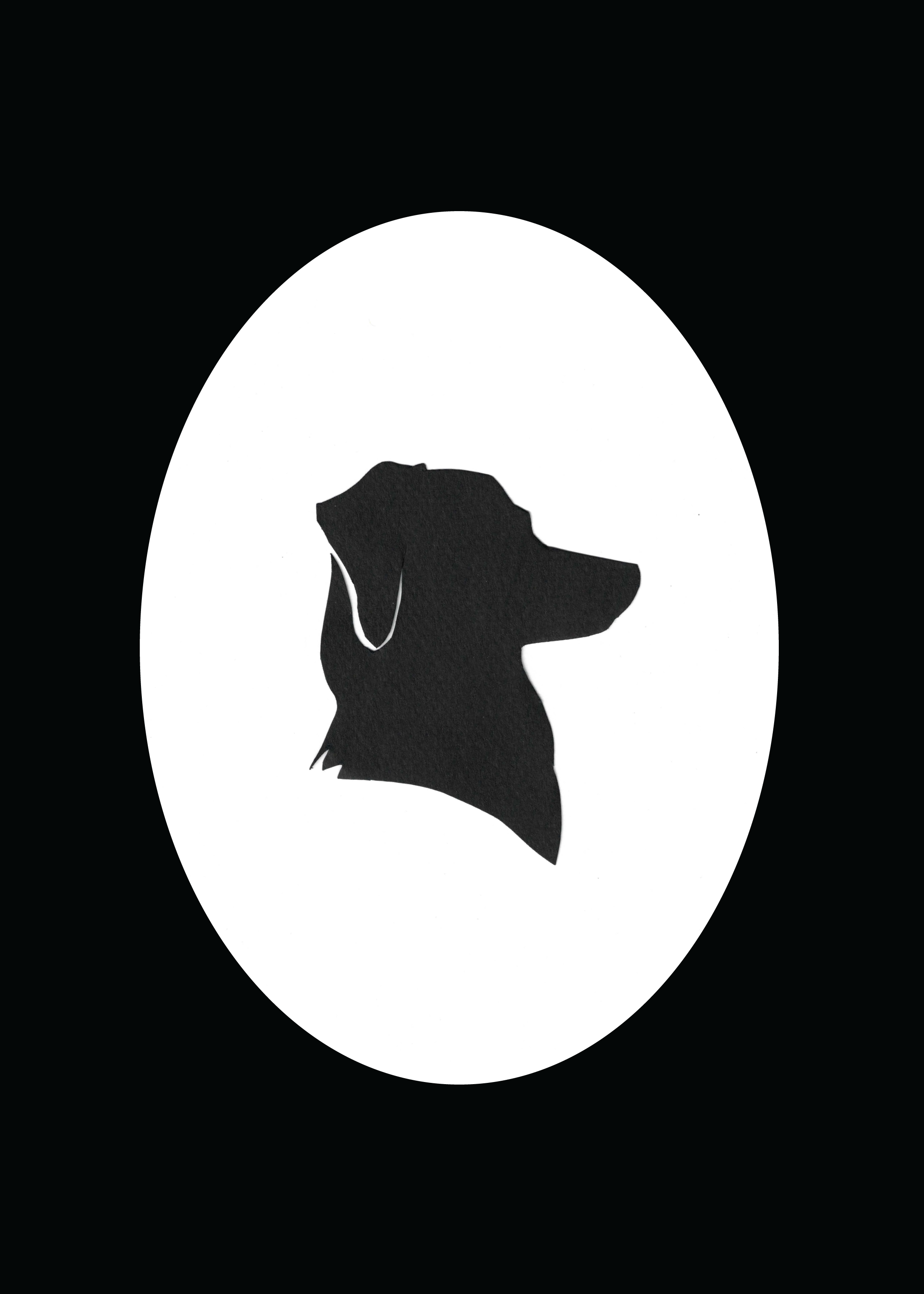 Colleen_Sinclair_Silhouette_10.png