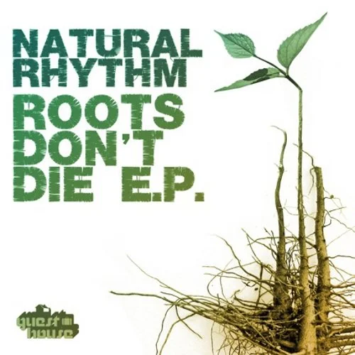 Roots Don't Die EP Guesthouse (2011)