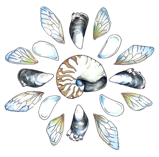 Marissa - mussles.jpg