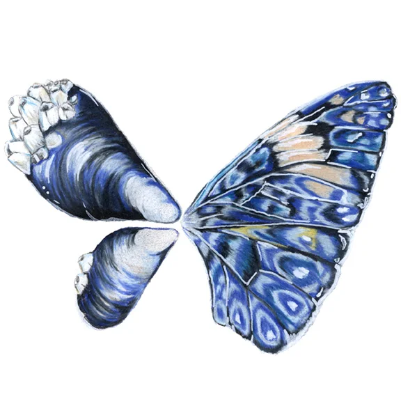 Marissa - butterfly.jpg