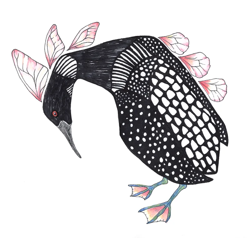 Loon_w.jpg