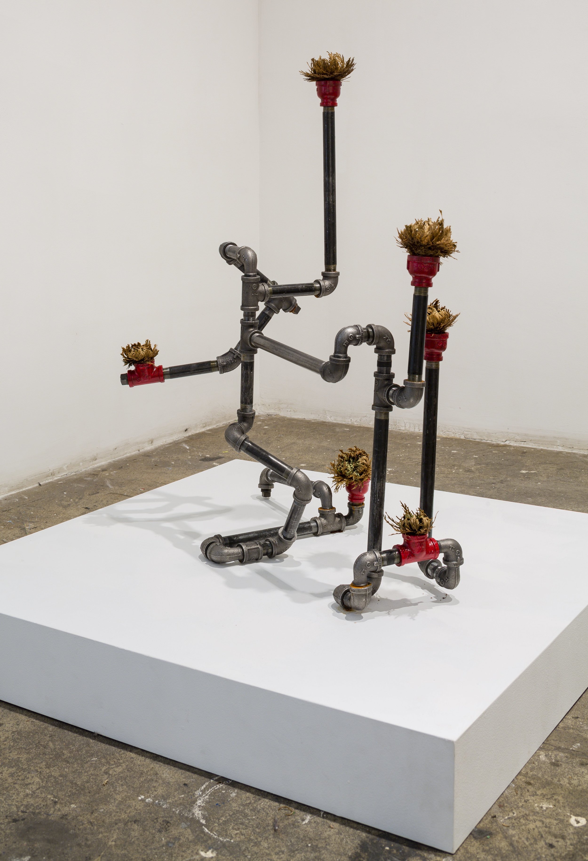 Rodriguez, Rodriguez, Stream Channels (For Flint and Puerto Rico), 2018, Assemblage, Black steel pipe, water, spray enamel, water, resurrection flower, 34x27x13 inches.jpg