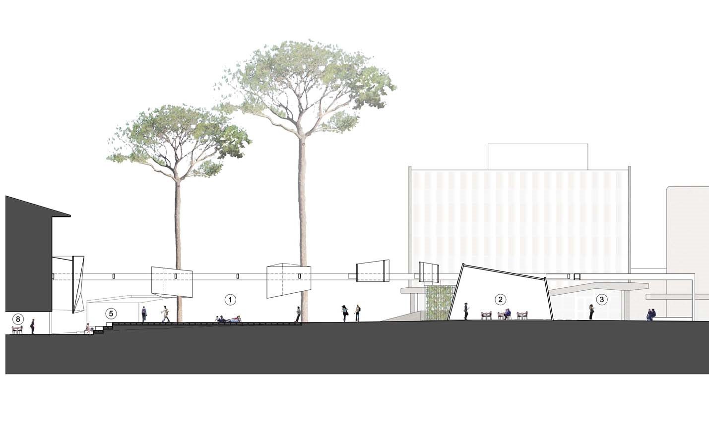 Curtin-university-creative-quarter-student-architecture-masterplanning-trees-pine.jpg